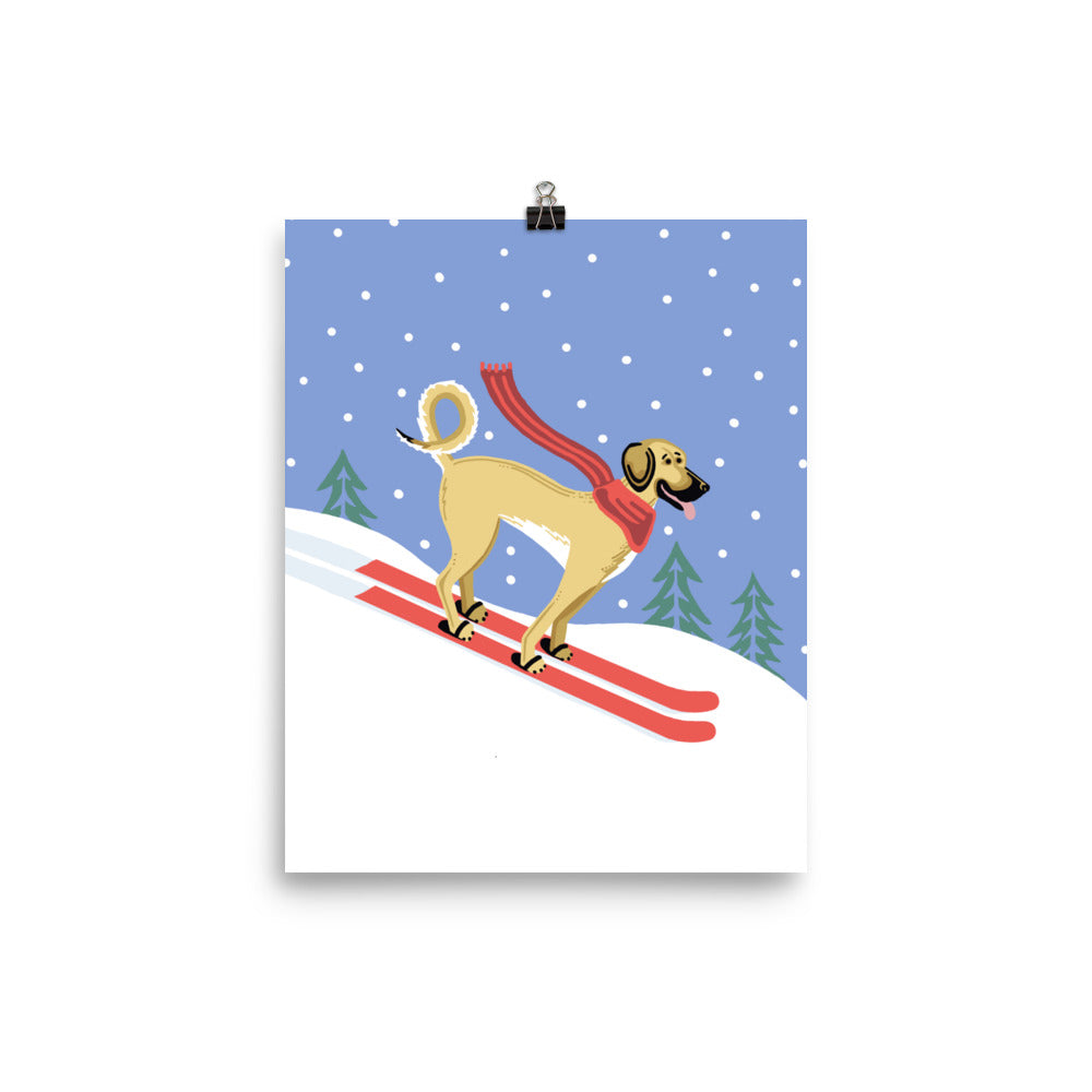 Great Dane Mix Skiing - Print